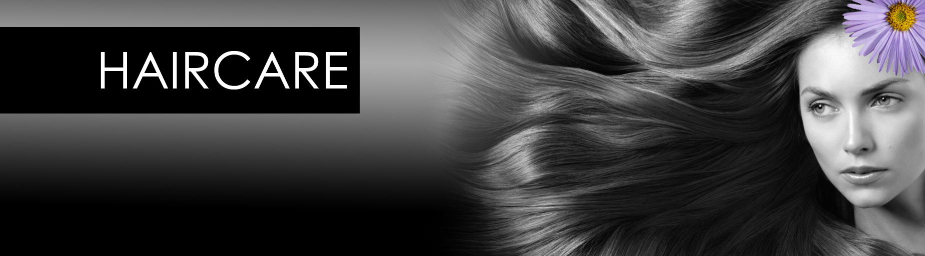 HAIRCARE_BANNER